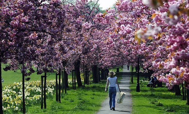 UK Rents Freeze: First Time Since 2017!