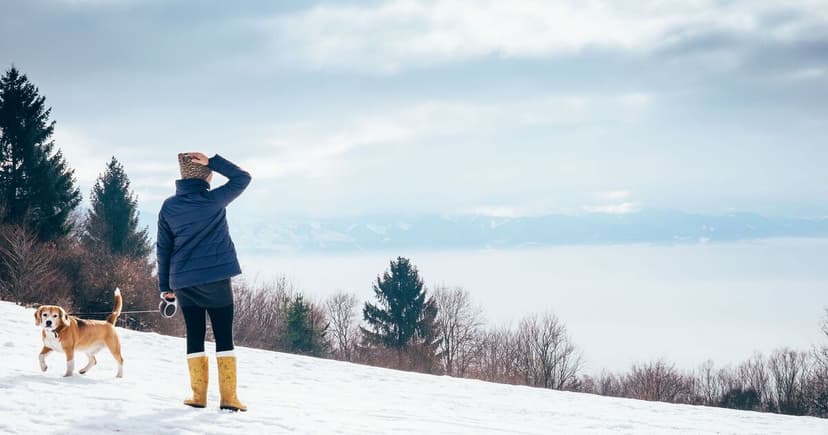 Northern England Braces for Snowfall