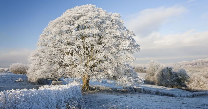 Scotland braces for 89cm snow deluge