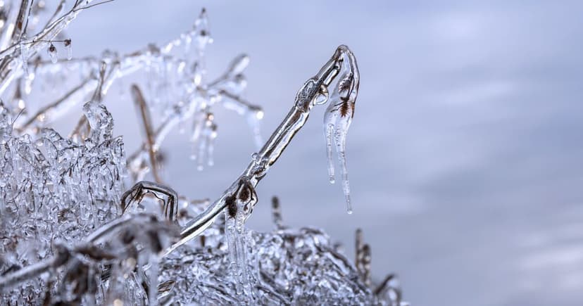 UK Braces for Arctic Blast: Snow and Freezing Rain Expected Soon