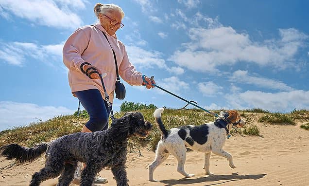 UK Staycations Soar Amidst Middle East Travel Fears