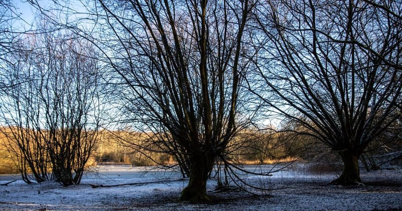 UK Heatwave Ends: 10C Plunge & Frost Expected!