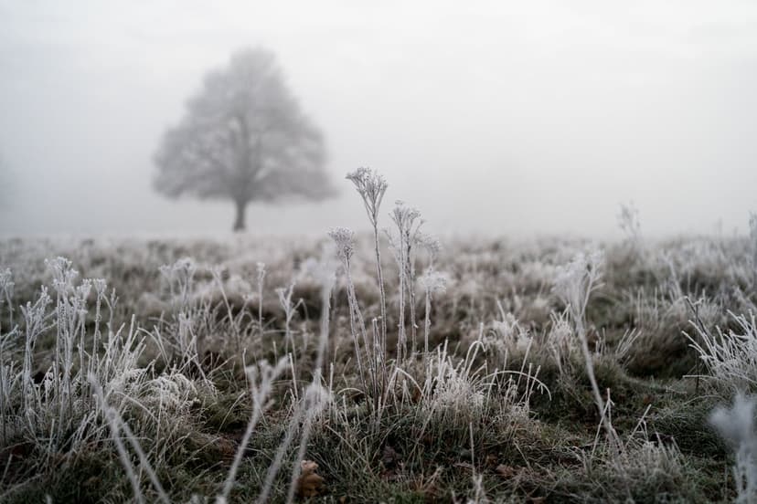 Arctic Blast to Slam UK: -5C Frost Expected!