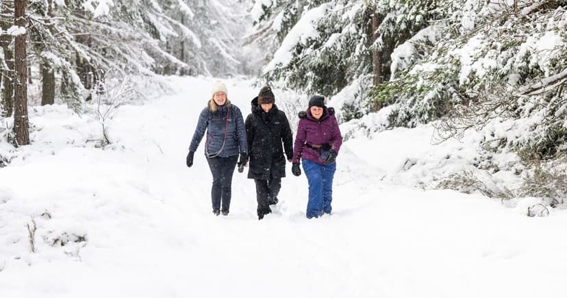 Icy Blast Hits UK: Scotland Braces for Treacherous Roads