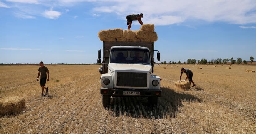 Ukraine Ports Under Fire: Grain Exports Plummet