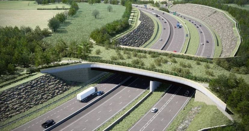 UK's Largest Wildlife Bridge Takes Shape