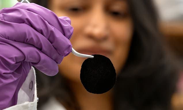 New Fabric Absorbs 99.87% Light, Fashion's Blackest Yet