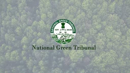 NGT Warns UP Officials on Illegal Sand Mining