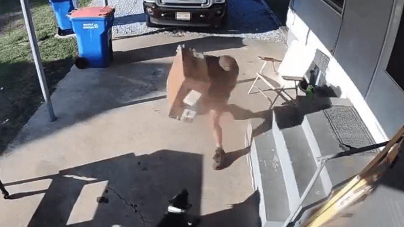 UPS Driver Caught Throwing Package at Dog
