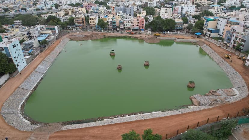 Wetlands Vanish: Cities Erase Climate Resilience