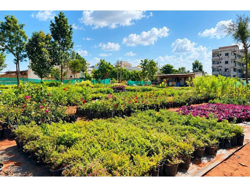 Urvann's Plant Quality Revolution: From Marketplace to Own Farms