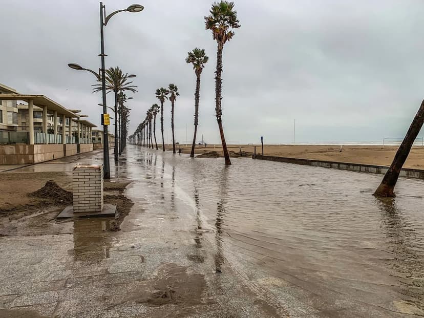 Coastal Cities Brace for Rising Seas