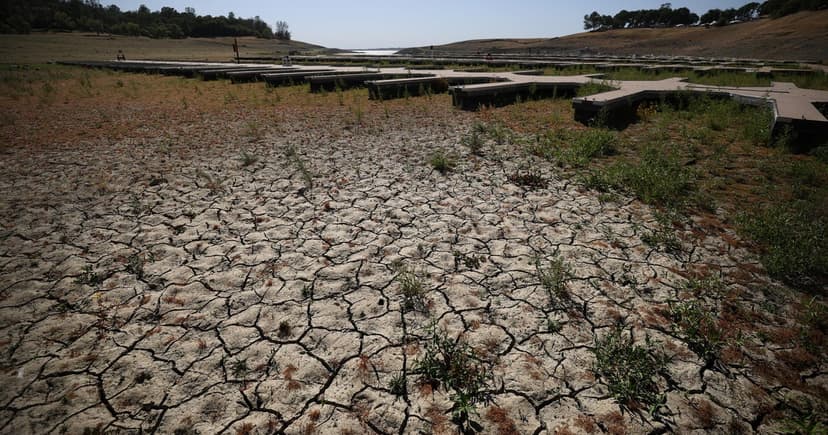 Record Drought Grips US: Wildfire and Food Price Fears Rise