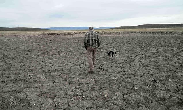 US Drought Hits Record Highs, Sparking Fire and Food Price Fears
