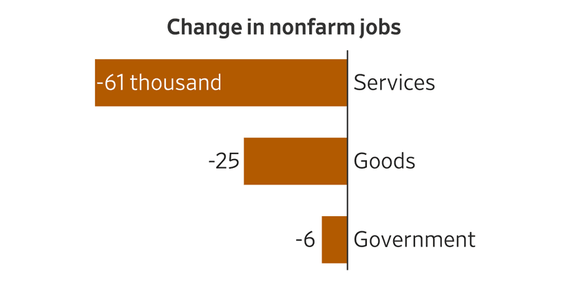 US Jobs Plunge: Signs of Labor Market Struggle