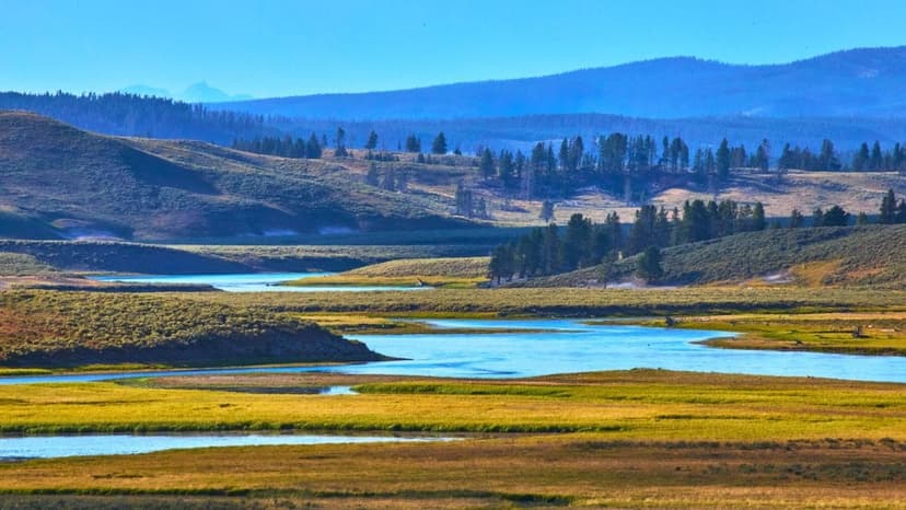 Outrage Over $100 US Park Entry Fee for Tourists