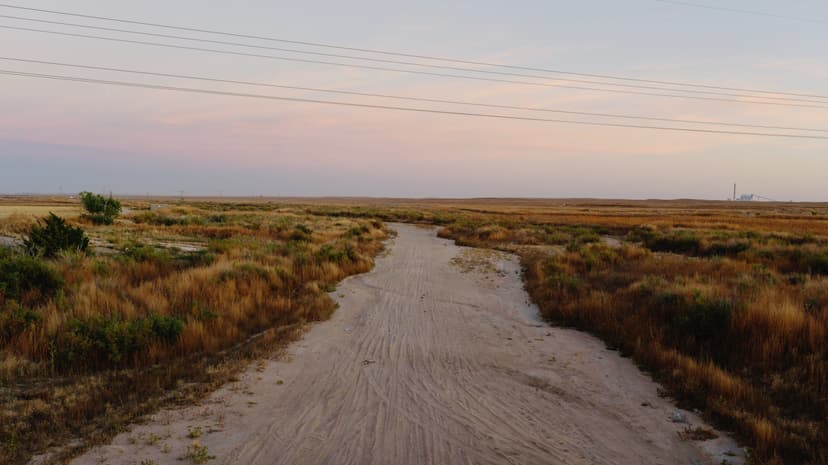 US Nature Health: Experts Release Stark Findings