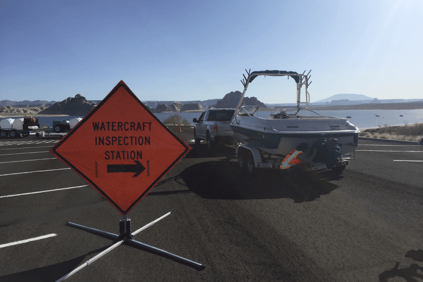 US Offers $200K to Stop Invasive Mussels