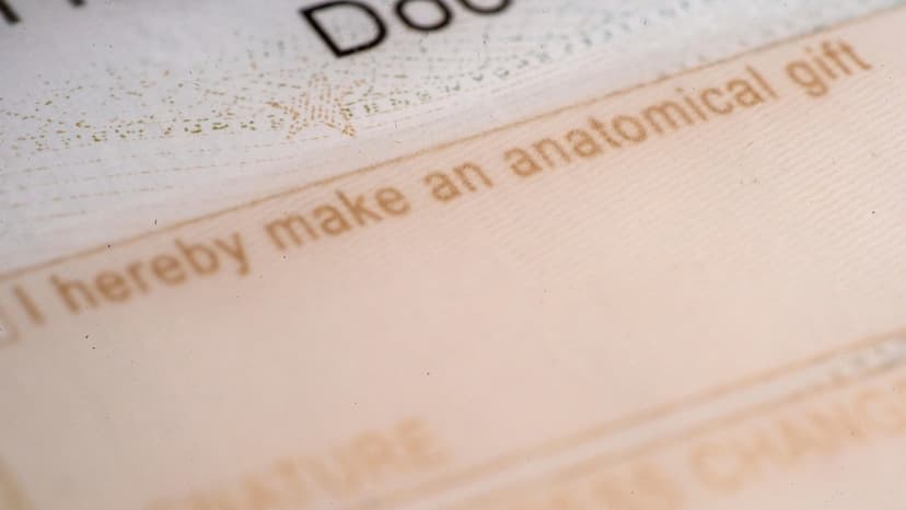 Organ Donations Dip: Trust Erodes in Lifesaving System