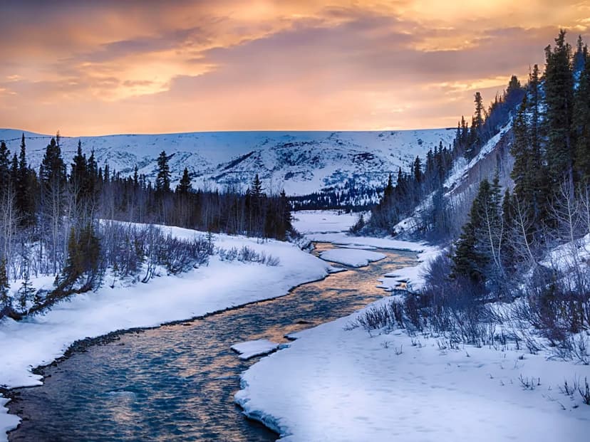 US Coldest Records: Alaska's -80°F & More