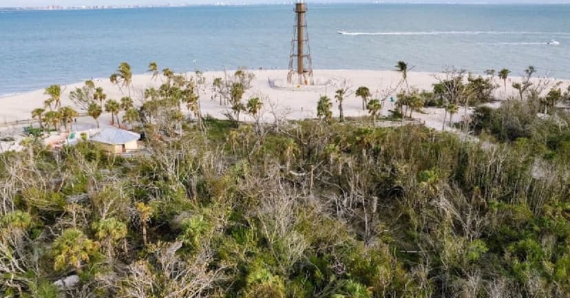 US Wetlands Vanish: Storms Outpace Conservation