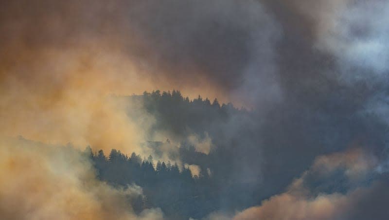 Utah Wildfires Spark Multiyear Recovery Crisis