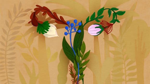 Beyond the Gut: Vaginal Bugs Boost Wellbeing