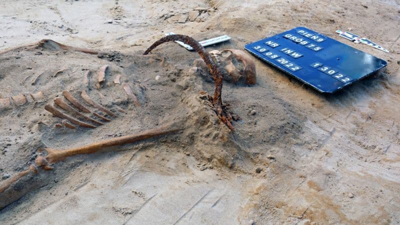 Padlock & Sickle: Poland Grave Reveals Vampire Fears