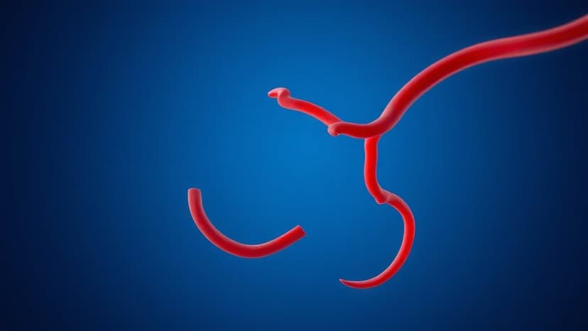 Veins: Surprising Facts Revealed