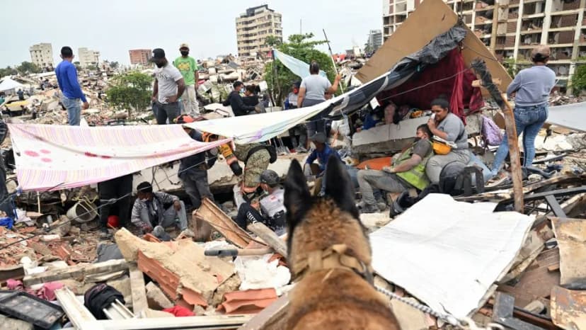 Hero Dogs Retire After Saving Lives in Venezuela Quake