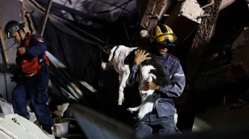 Canine Hero: Dog Saves Boy Trapped for 78 Hours
