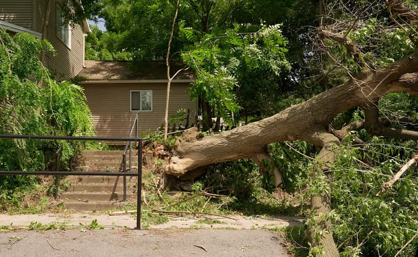 Victor Cleans Up After Devastating Storm Hits