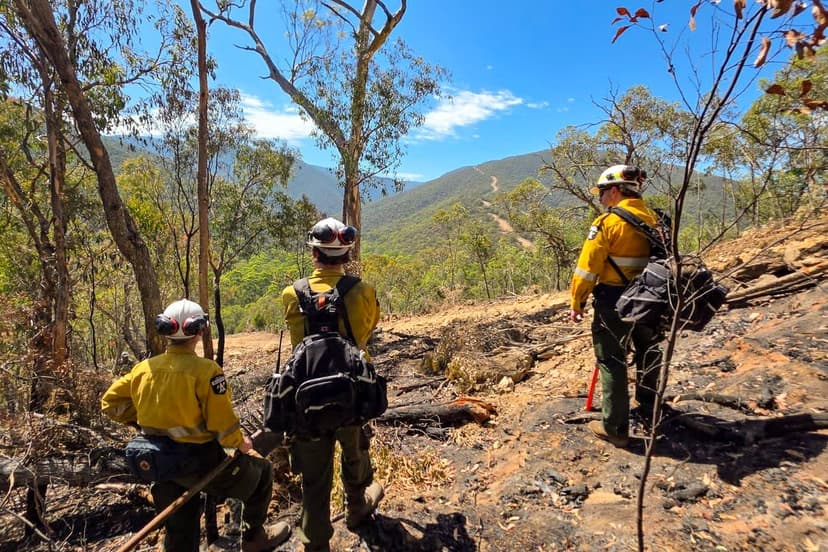 Victoria Bushfire: Evacuate Now or Peril