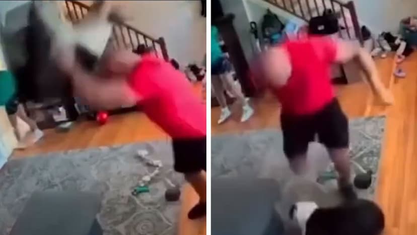 Police Investigate Viral Video of Dog Abuse