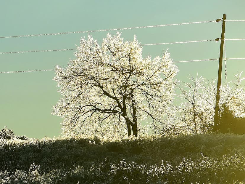 Arctic Blast Hits Virginia: Zero Wind Chills Expected