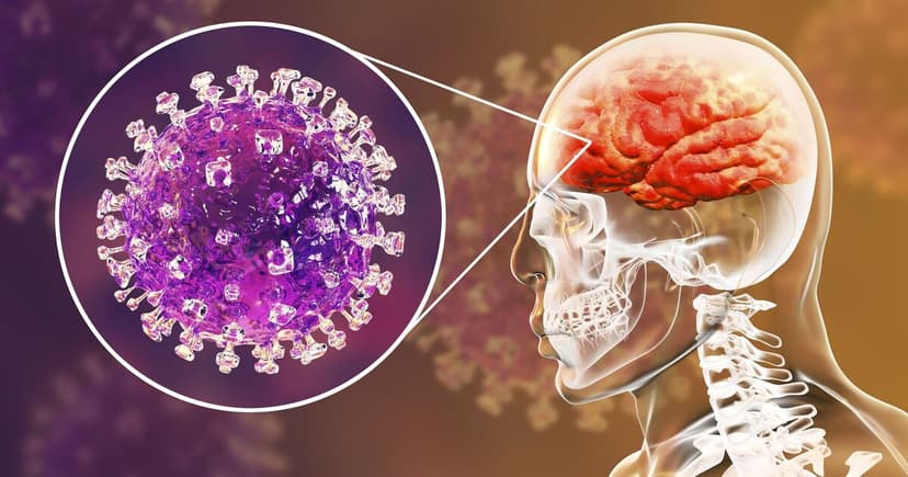 Virus Mutates: Low R Number, High Risk?