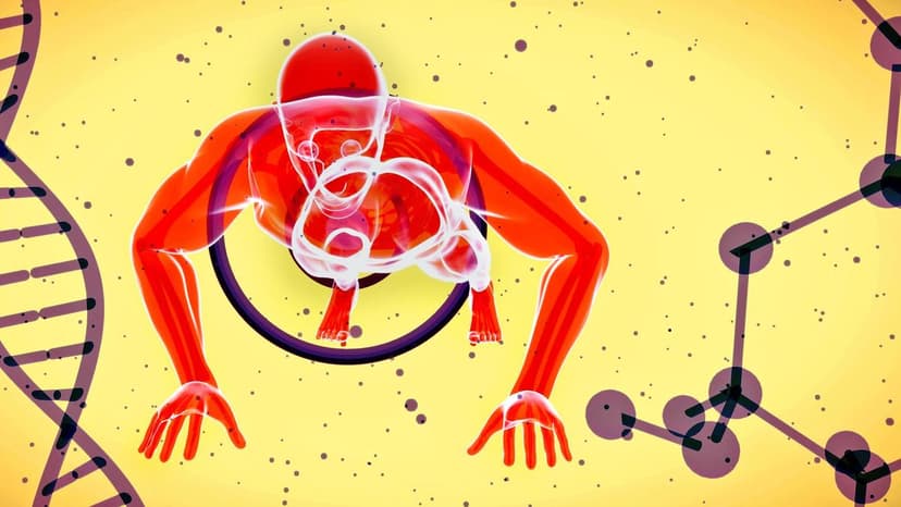Vitamin D3 Outshines D2 for Heart and Muscle Health