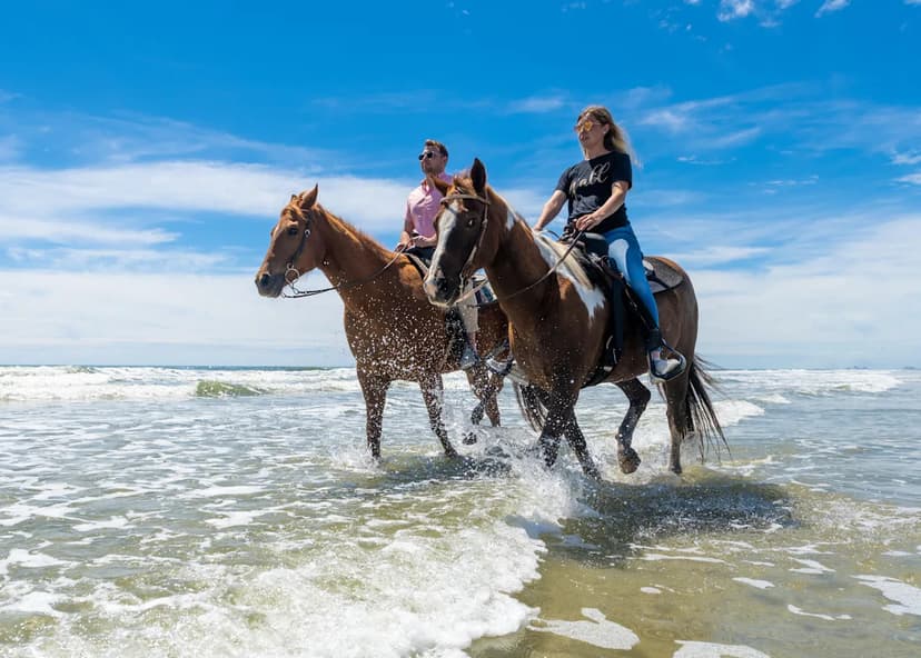 South Carolina's Last Undeveloped Shore: Waites Island