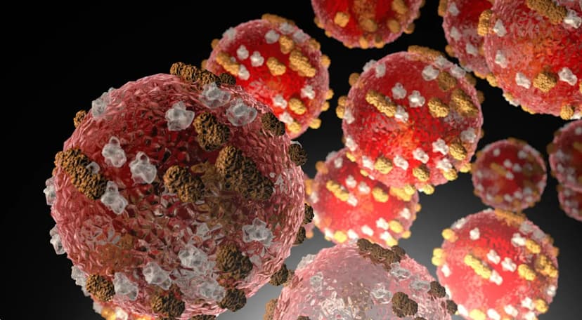 Measles Surge: Washington Faces Summer Travel Risk