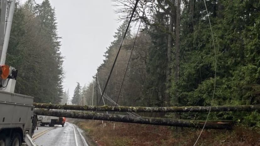 Washington Reels: 60 MPH Winds Cause Widespread Power Outages