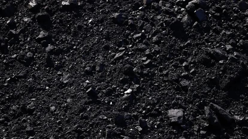 Char Tech Turns Waste to Biocarbon Power