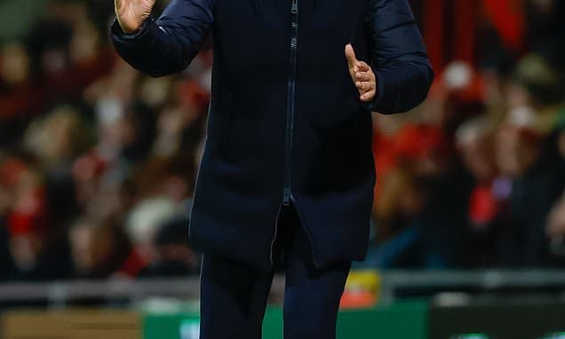 Late Goal Lifts Watford into Play-Offs