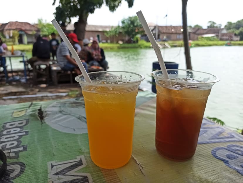 Wawa Drinks Recalled for Undeclared Milk Allergen