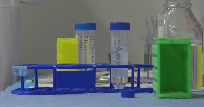 Pitt Study: Mice Lose 50% Fat With New Drug