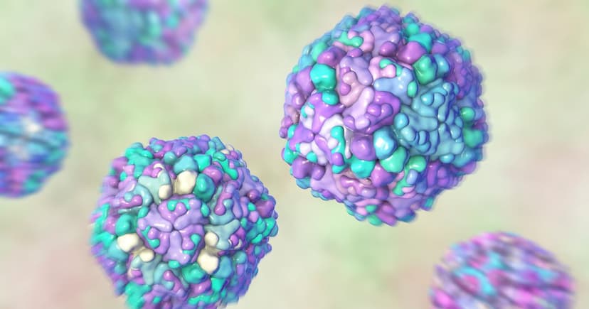 West Nile Virus Spreads: 16 European Nations on Alert