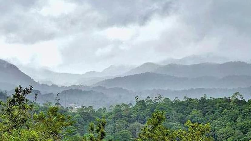 Western Ghats ESA: Urgent Call for Stronger Eco-Safeguards