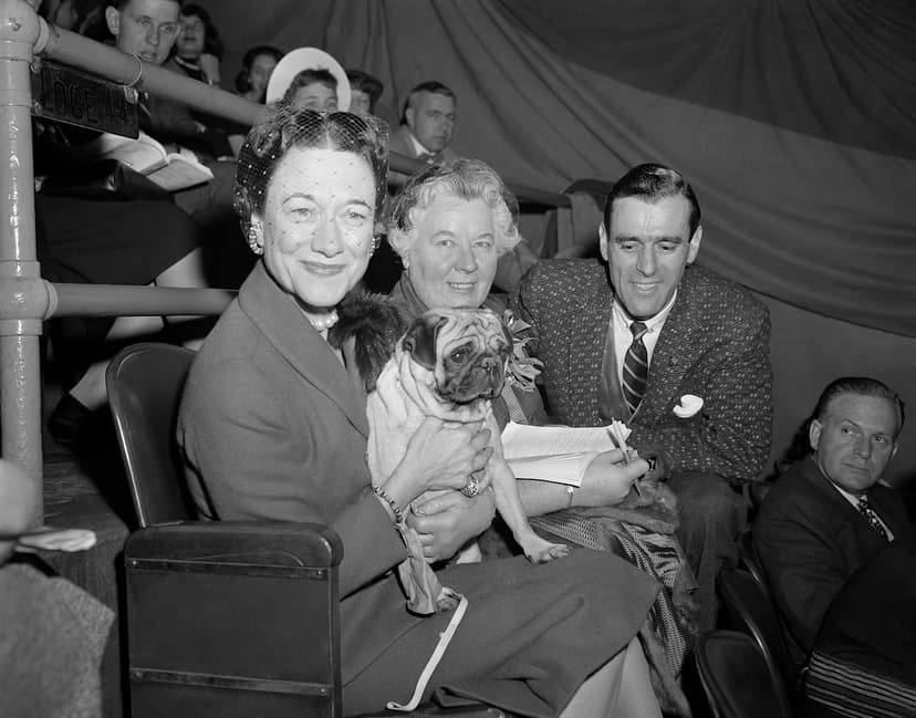 150 Years of Westminster: A Dog Show's Enduring Legacy