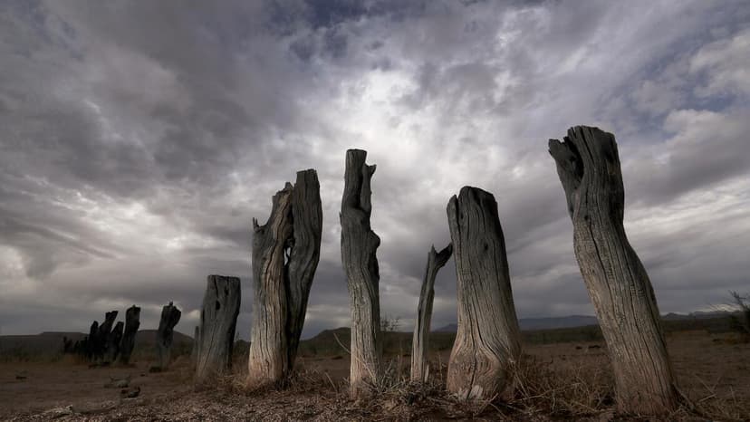 West's 1,200-Year Drought Fueled by Warming