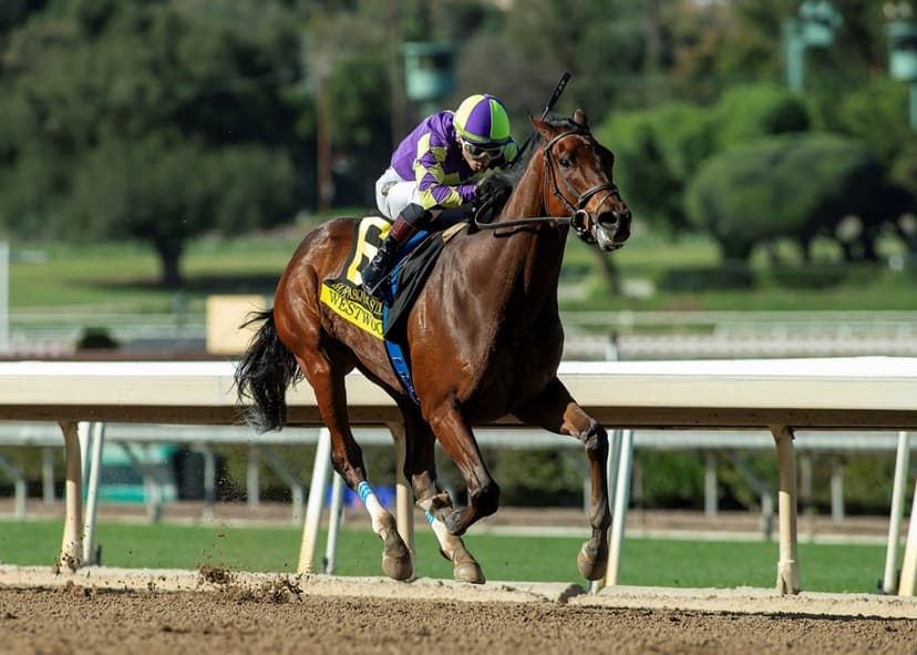 Westwood Skips Santa Anita Handicap
