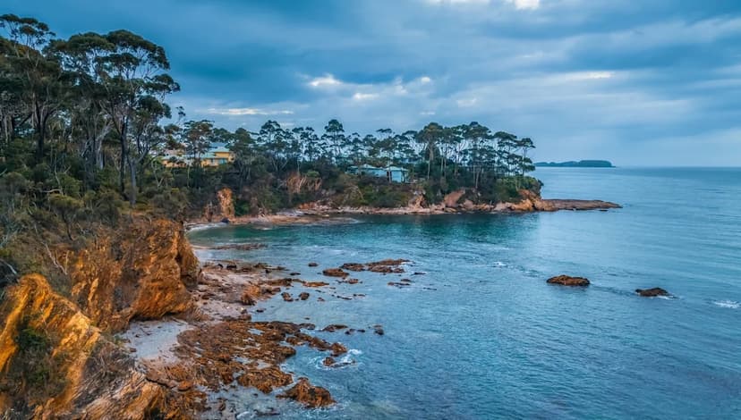 Whale Songs Reveal Ocean's Climate Shift